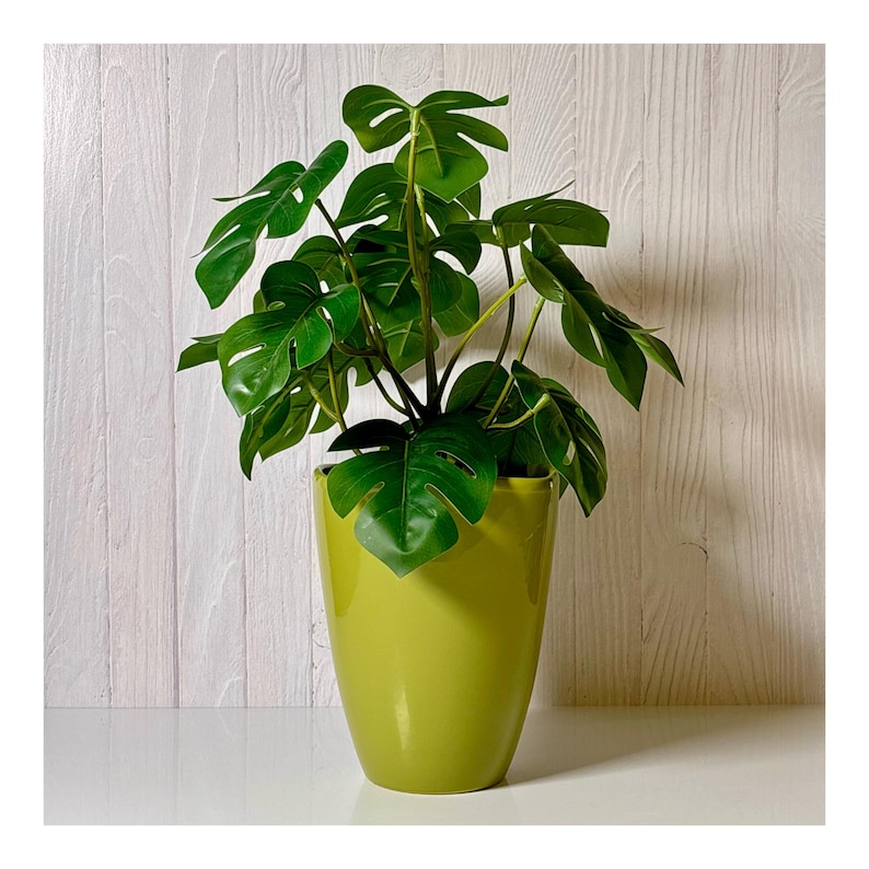 May include: A vibrant green potted Monstera plant. The plant features large, glossy, green leaves with distinctive splits. The pot is a matching bright green, with a smooth, glossy finish. The plant is set against a light wood-grain background.