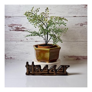 May include: A small, green leafy plant in a brown, geometric pot. The pot sits on a white pedestal, with a brown ceramic word art piece that says "Happy" in front of it. The background is a white wooden wall.