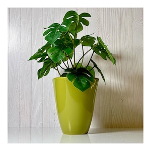 May include: A vibrant green ceramic planter holds a lush, artificial Monstera plant. The plant features large, glossy, green leaves with distinctive splits. The planter has a smooth, glossy finish and a slightly tapered shape. The background is a white wooden wall.