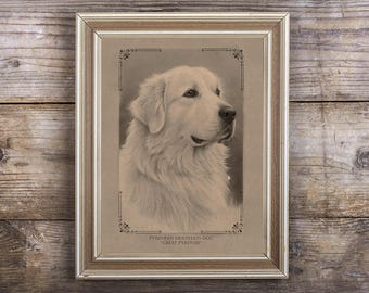 Pyrenean Mountain Dog (Great Pyrenees) - Vintage-Style Dog Art Print – Instant Download