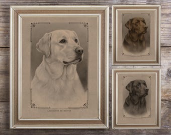 Labrador Retriever Vintage-Style Dog Print – Instant Download