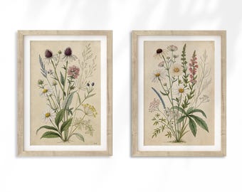 Conjunto de láminas botánicas de flores silvestres: Arte mural bohemio cottagecore (descarga digital)