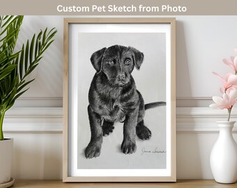 Custom Pet Sketch from Photo – Hand Drawn Pencil Pet Portrait