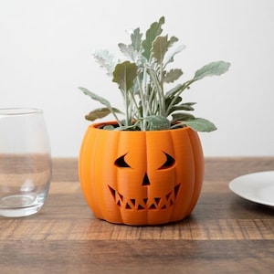 May include: An orange pumpkin-shaped planter with a carved jack-o'-lantern face holds a leafy green plant. A clear glass and a white plate sit on a wooden surface, creating a Halloween-themed display.