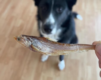 Dehydrated White Anchovy Dog/Cat Treats: Wild Caught, Single Ingredient