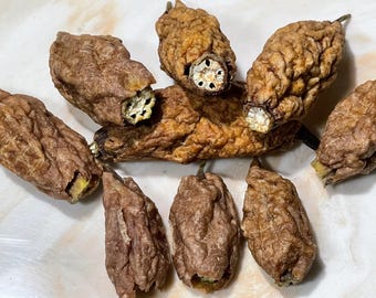 Dehydrated Turkey & Okra Dog Treats: Natural, Low Calorie, Crunchy