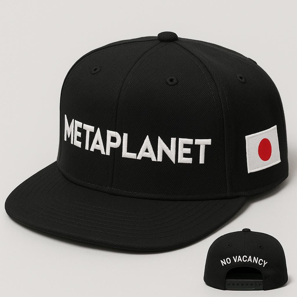 HOTEL ORIGINAL CAP【NO VACANCY】 NO VACANCY CAP – Raawalchemy.com