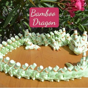 Bamboo Dragon Fidget Toy