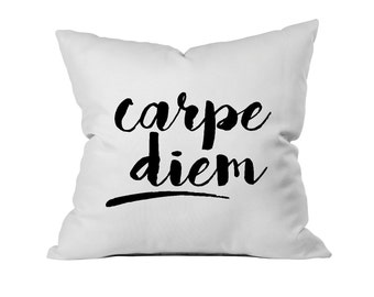 Carpe Diem Throw Pillow case Graduation Gift cushion cover pink pillow carpe diem pillow sieze the day pillow case