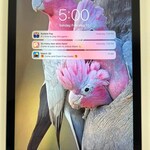 Tablets