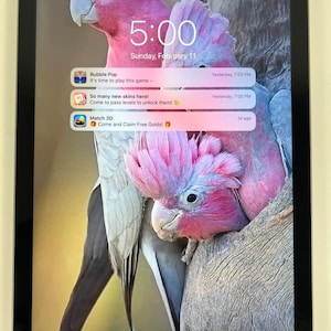Apple iPad 5. generacji A1822, 9,7-calowy, zablokowany tablet w kolorze gwiezdnej szarości, działa na dobrej baterii, nadaje się do naprawy lub na części.