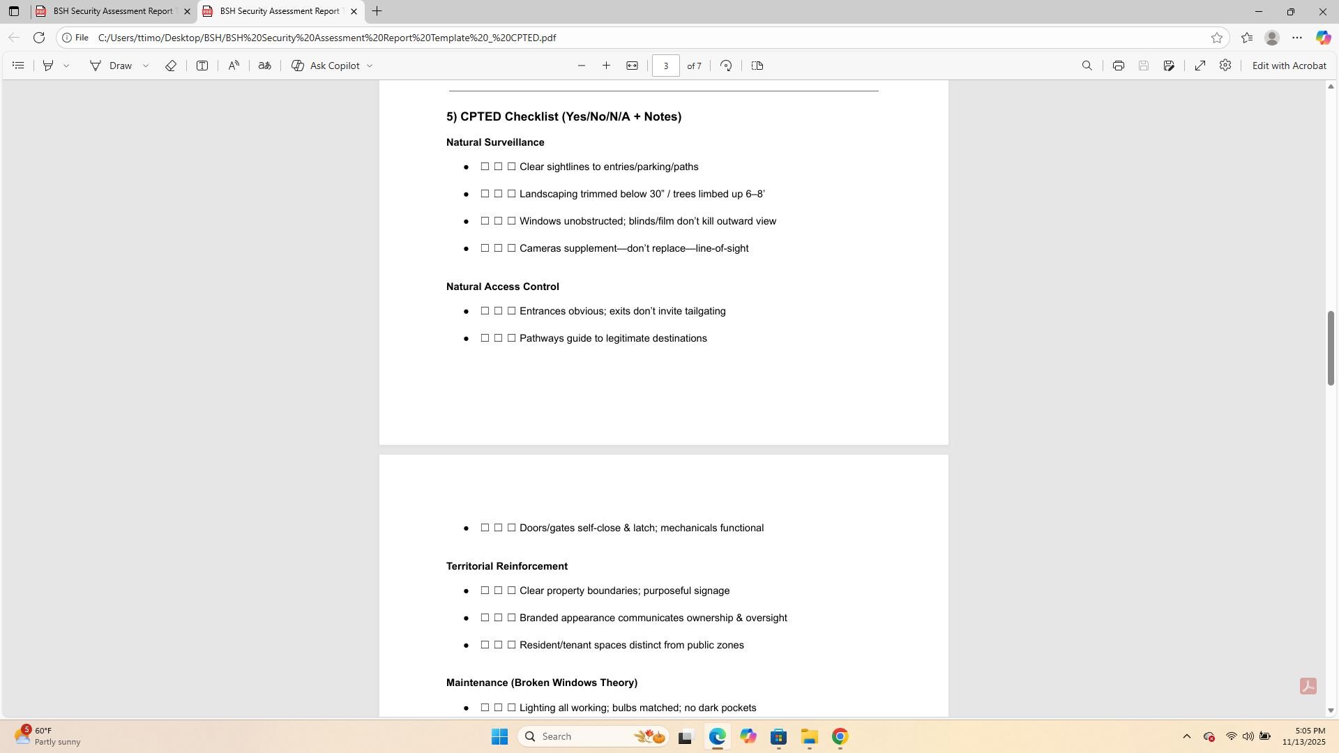 BSH Security Assessment Report Template | CPTED Checklist + Action Plan ...