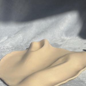 Könnte beinhalten: Eine beige dekorative Keramikschale mit einem einzigartigen, wellenförmigen Design. Die Schale hat eine erhöhte, gebogene Mitte und einen flachen, unregelmäßigen Rand. Die neutrale Farbe und die organische Form deuten auf eine moderne, minimalistische Ästhetik hin.