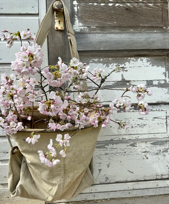 vintage apple picking Gem