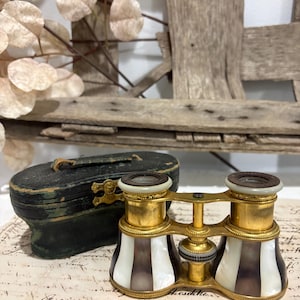Vintage Lemaire Paris Mother of Pearl opera glasses with leather case
