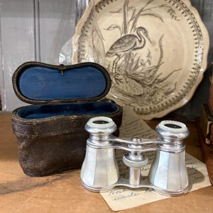 Vintage Regina Paris opera glasses with leather case