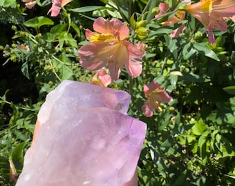 Brazilian Amethyst Crystal Cluster