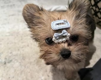 Puppy Bows for Fur | Cat Bows | Dog and Cat Accessories | Coquette | Cute Pet Hairpin Dog Grooming Clips | Summer Pet Hair Accessory