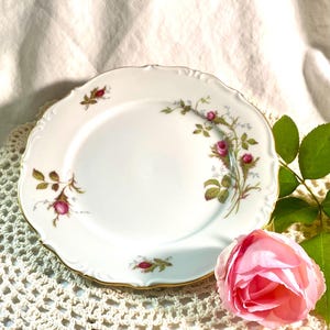 Briar Rose Salad Plates - W. Eschenbach Bavaria - Pink Floral Gold Trim