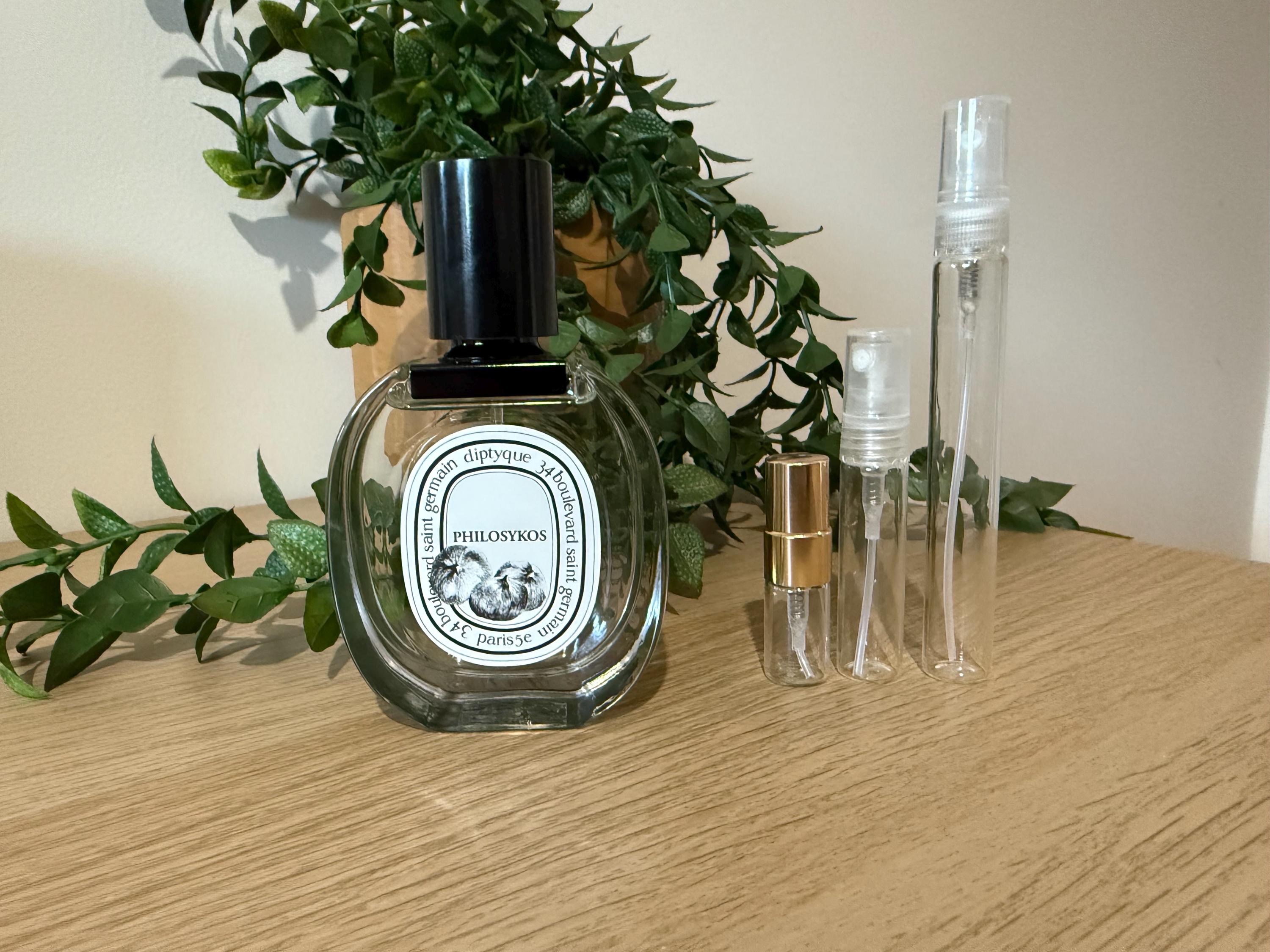 Philosykos Dupe Australia