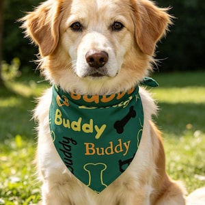 May include: A light-colored dog with floppy ears wearing a dark green triangular pet bandana. The fabric features a repeating pattern of the word Buddy in yellow and orange text, interspersed with black and yellow outlines of dog bone shapes.
