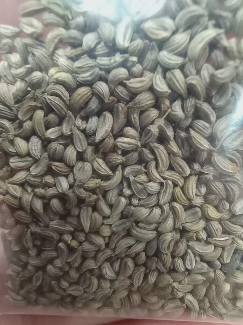 May include: Close-up of a pile of small, light green seeds. The seeds have a ridged texture and a curved shape, resembling tiny crescents. The seeds are tightly packed together, filling the frame.