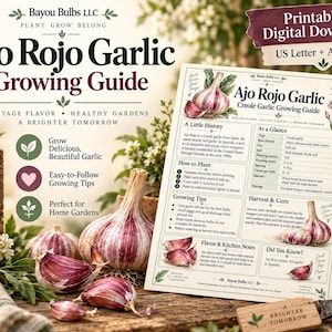 May include: A printable digital download guide for Ajo Rojo garlic featuring text, illustrations of garlic bulbs, and growing instructions. The document includes sections on history, planting, tips, and harvest, with US Letter and A4 PDF formats.