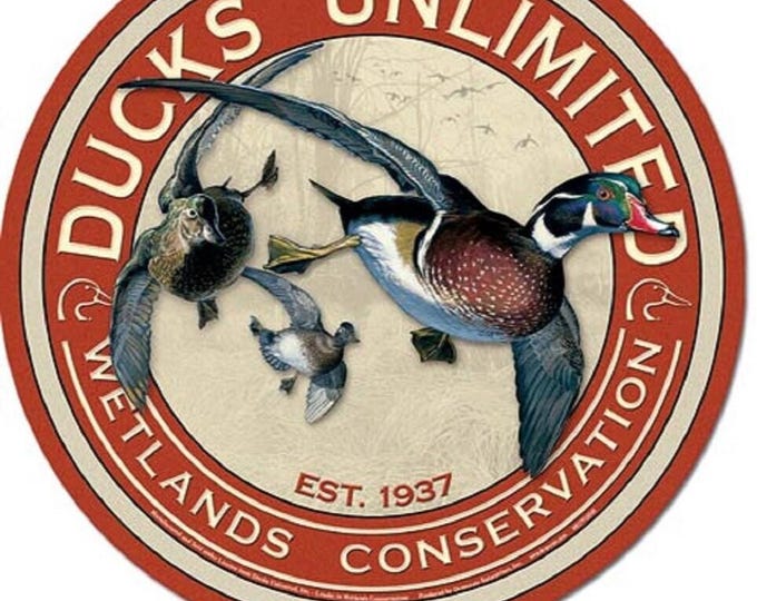 Duck Hunter Light fixture: Glass Insulator or Mason Jar Chandelier you choose