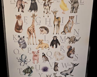 Animal Alphabet Picture on Canvas Gray Framed 20" x 16"