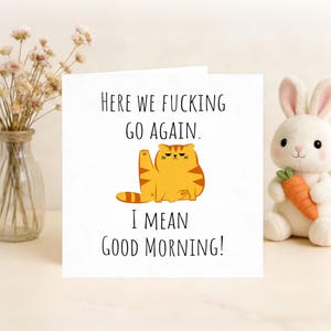 Op de afbeelding: Een witte wenskaart met de tekst "HERE WE FUCKING GO AGAIN. I MEAN GOOD MORNING!" en een cartoon illustratie van een oranje kat. Een witte knuffelkonijn met een wortel en een vaas met gedroogde bloemen zijn ook in de afbeelding.