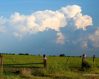 Kansas Storm