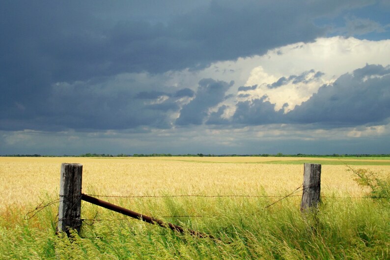 Kansas in the Spring Etsy