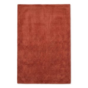 Peut inclure: Un tapis rectangulaire d'une couleur orange terre cuite profonde et unie. La surface présente une texture dense à poils courts qui crée de subtiles variations de lumière et d'ombre sur le tissu, offrant un aspect uniforme et cohérent.