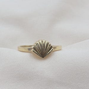 Puede incluir: Un anillo de tono dorado que presenta un punto focal central con forma de concha marina en abanico. La banda de metal es lisa y pulida, y conduce al diseño texturizado y acanalado del motivo de concha centrado en la parte superior.