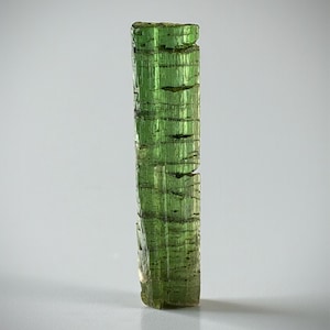 May include: A vibrant green tourmaline crystal, vertically oriented, with a textured, striated surface. The gemstone is a rich, translucent green, with visible internal structures. The crystal is approximately 2 inches in height, showcasing natural geological formations.