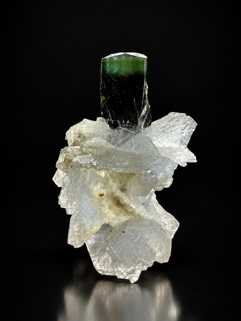Tourmaline With Albite - Terminated Green Cap Crystal Having Unique ...