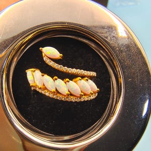 Może przedstawiać: Złoty pierścionek o wzorze przypominającym węża. Pierścionek posiada szereg owalnych, opalizujących kamieni osadzonych wzdłuż zakrzywionej opaski. Opaska jest również ozdobiona małymi, przezroczystymi kamieniami szlachetnymi. Pierścionek jest prezentowany w okrągłym, metalowym pojemniku.