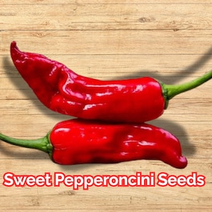 Sweet Pepperoncini Seeds – NON-GMO, Heirloom, Organic, Fast-Growing, Easy to Grow, Container Friendly, Capsicum annuum