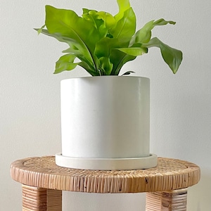 Round Concrete Planter