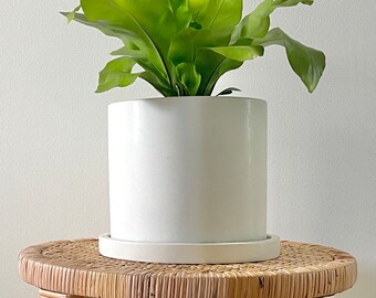 Round Concrete Planter