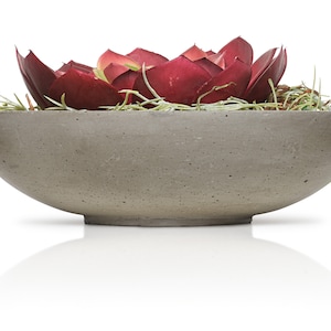 Pu&ograve; includere: Un vaso in cemento grigio con una pianta grassa rossa al suo interno. Il vaso &egrave; di forma ovale e ha una superficie liscia e testurizzata.