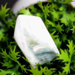 May include: A polished, rectangular gemstone with a white base and subtle blue-green veining. The stone is set against a backdrop of vibrant green foliage, creating a natural and appealing contrast. The gemstone's smooth surface reflects light.