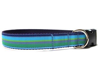 Aqua stripe with hues of blue, 1" ribbon dog collar on webbing