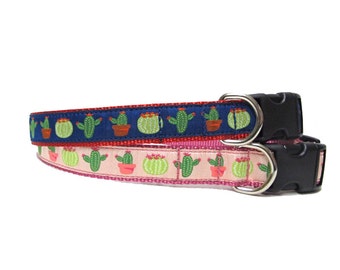 Cactus 1in ribbon dog collar on webbing. Durable and stylish