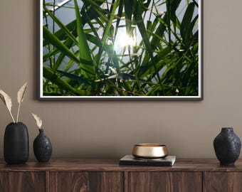 Foliage Art Print: Dramatic Light Photography