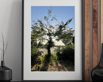 Sunset Photography Print: Dramatic Light