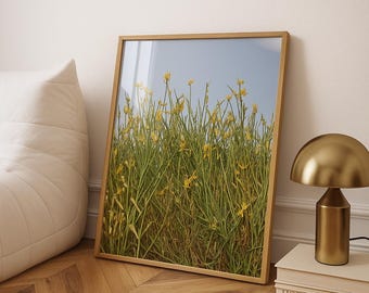 Nature Photo - original Photography no.1