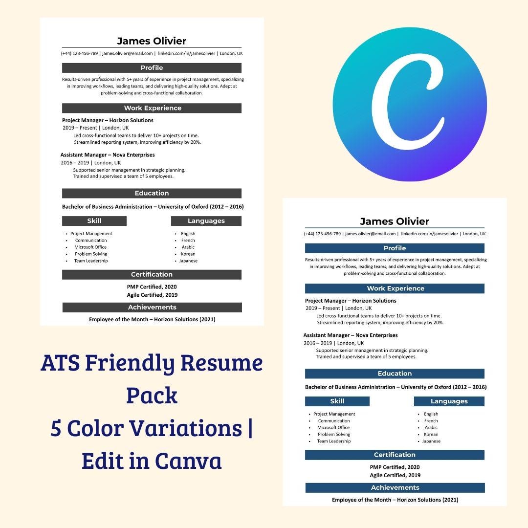 ATS Friendly Resume Template: Modern Canva CV Design (PDF Download) - Etsy