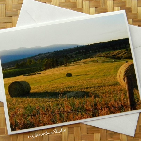 Hayfield in Evening Sun Photo Note Card - Rural Photography Montana