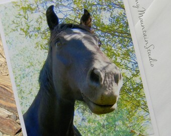 Whimsical View of a Horse Photo Note Card. Rural Montana Equine Photography.